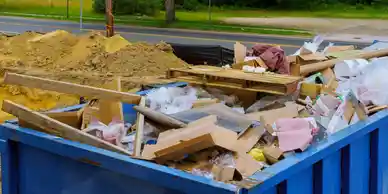 Cleanup dumpster rental